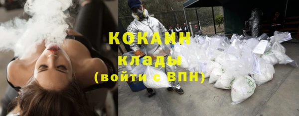 ПСИЛОЦИБИНОВЫЕ ГРИБЫ Арсеньев