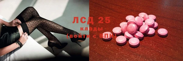 ПСИЛОЦИБИНОВЫЕ ГРИБЫ Арсеньев