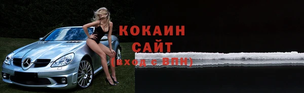 ПСИЛОЦИБИНОВЫЕ ГРИБЫ Арсеньев