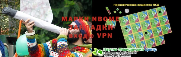 ПСИЛОЦИБИНОВЫЕ ГРИБЫ Арсеньев
